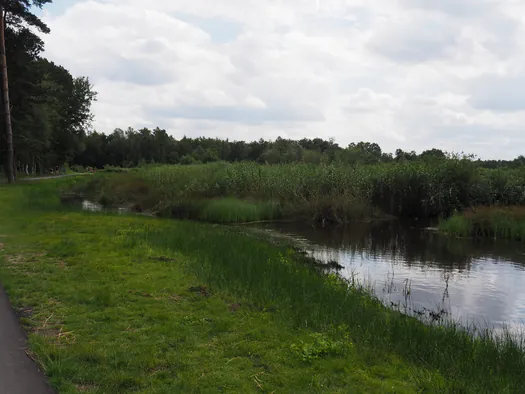 Fietsen en wandelen door het water van de Wijers, Bokrijk (België)